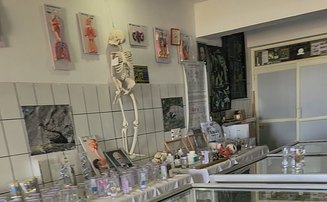 Museum - Image 2