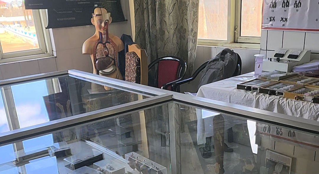 Museum - Image 3