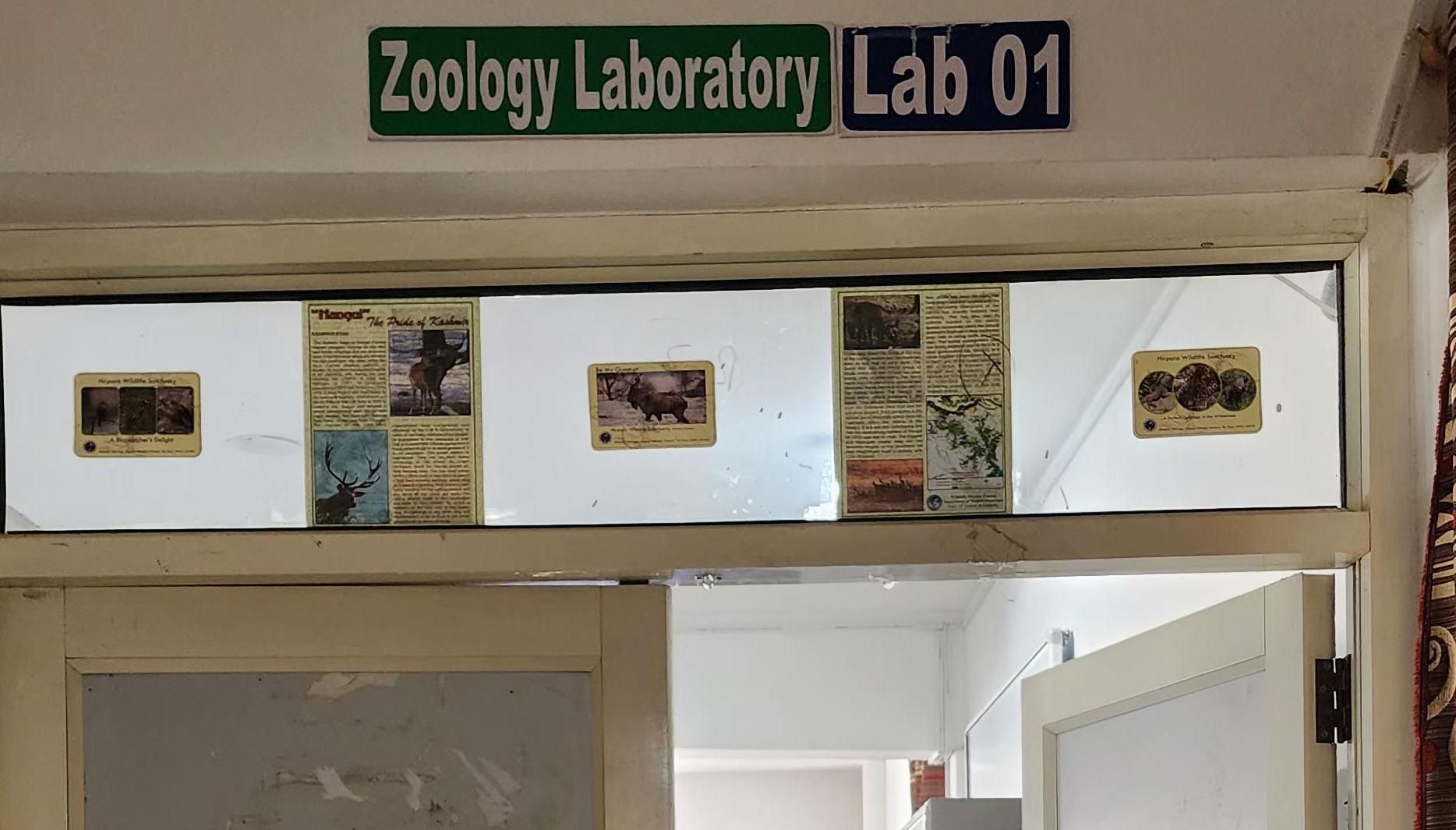 Department - Image 2