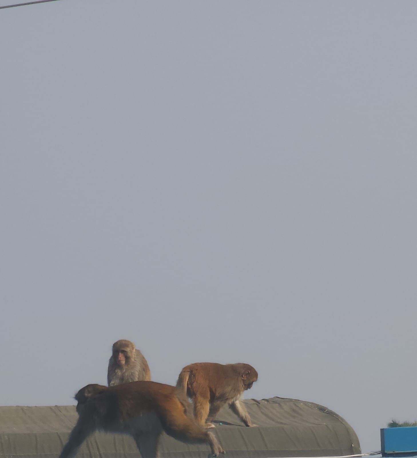 Zoological Tour 2025 - Image 4